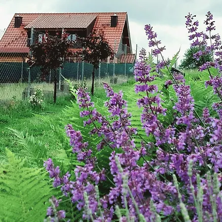 Sielski Spokoj Dom Z Bali Apartamenty Caloroczne Gietrzwałd Exterior foto