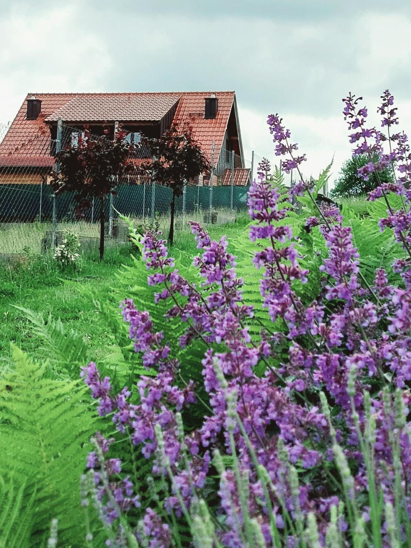 Sielski Spokoj Dom Z Bali Caloroczne Gietrzwałd